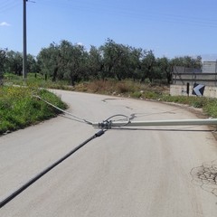 Incidente stradale in via Malpighi