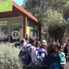infopoint