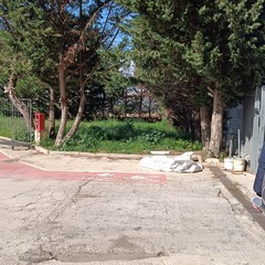 Isola Ecologica Via Stazio