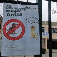LI C Verdi Cafaro dice Basta ai campi minati per le deiezioni canine