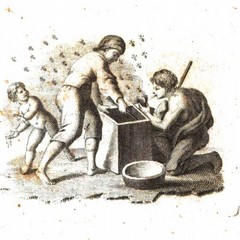 L’industria delle api e del miele nel XVIII secolo in Andria