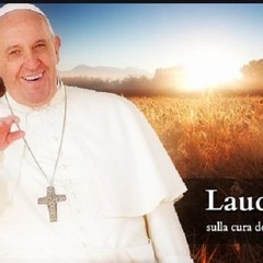 papa francesco