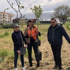 Lions Club Puglia Scambi Giovanili: "Tre alberi per salvare il pianeta"
