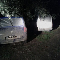autovetture rubate scoperte nelle aree rurali di Andria