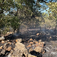 Vasto incendio sulla Murgia