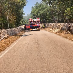 Vasto incendio sulla Murgia