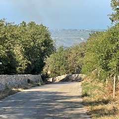 Vasto incendio sulla Murgia