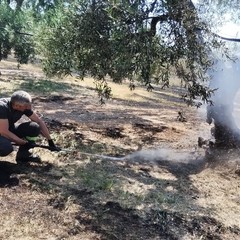 Incendio ad Andria in un'azienda agricola in via Malpighi