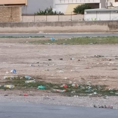 degrado e sporcizia in via Martiri di Belfiore