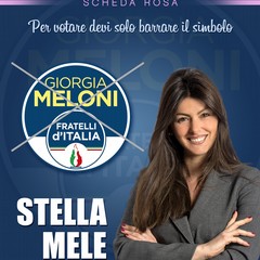 MELE STELLA foto