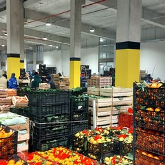 Mercato generale ortofrutticolo