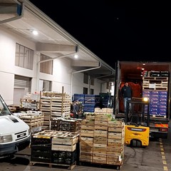 Mercato generale ortofrutticolo