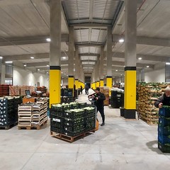 Mercato generale ortofrutticolo