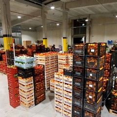 Mercato generale ortofrutticolo