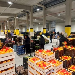 Mercato generale ortofrutticolo