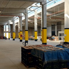 Mercato generale ortofrutticolo