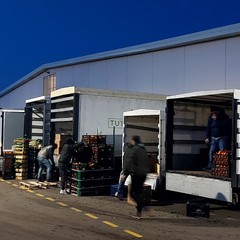 Mercato generale ortofrutticolo