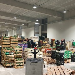 Mercato generale ortofrutticolo