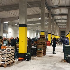 Mercato generale ortofrutticolo