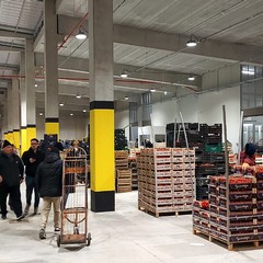 Mercato generale ortofrutticolo