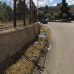 Strada provinciale invasa dai rifiuti