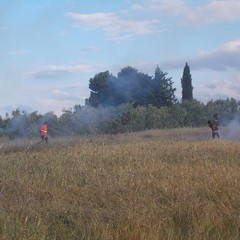 Monte Vitolo