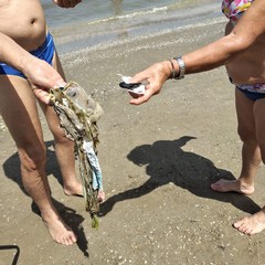 spiagge di Barletta invase dalla plastica
