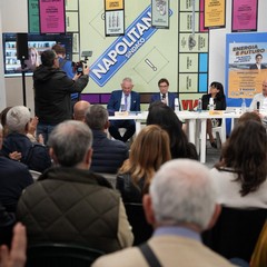 napolitano energia e futuro