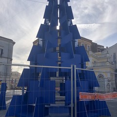 Nella foto di Martina lalbero situato al centro della piazza