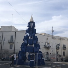 Nella foto di Martina la punta dell albero coincide con quella del campanile della Cattedrale