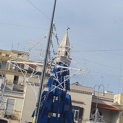 Nella foto di Raffaella lalbero il campanile e la luminaria