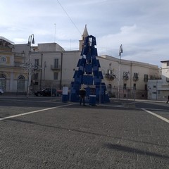 Nella foto di Raffaella la punta dell albero coincide con quella del campanile della Cattedrale