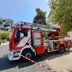 Cede grosso albero di pino all'interno dell'ospedale di Andria