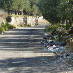 Un grosso problema di inciviltà