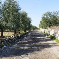 Un grosso problema di inciviltà