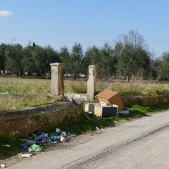 Un grosso problema di inciviltà