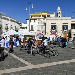 Una domenica di corsa con il Gruppo Sportivo Ciclo Avis di Andria