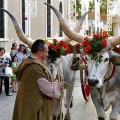 Straordinaria “Rievocazione storica del Transito di Sant’Antonio”