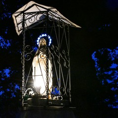 Alla contrada Abbondanza, festa della Madonna della Quercia