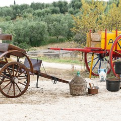 Il Borgo Montegrosso saluta l’estate con la 2^ edizione del premio “MurgiAutentica”