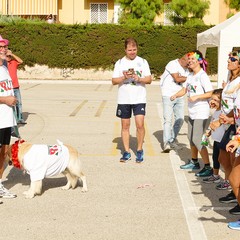 Grande partecipazione e tanto divertimento alla prima edizione della “Tricolor Run”