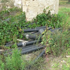 Rispetto dell'ambiente, Montepulciano: "Le sostanze che ci avvelenano"