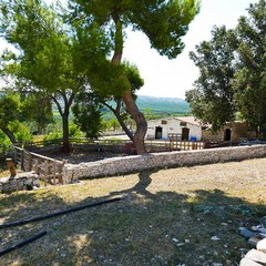 Estate  insieme alla Masseria San Vittore