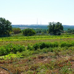 Estate  insieme alla Masseria San Vittore