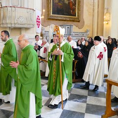 Celebrazione della festa della Beata Vergine Maria, Regina di Palestina