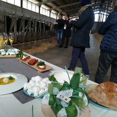 la Burrata di Andria IGP in onda anche sul programma "Paese che Vai...."
