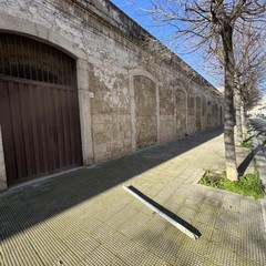 Palo della segnaletica divelto lanciato da Largo Seminario