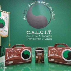 Natale di cioccolato del Calcit