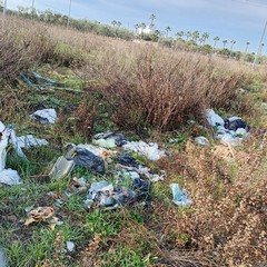 3Place raccoglie 3 quintali di rifiuti al quartiere San Valentino