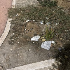 rifiuti e deiezioni canine, ecco come appaiono i giardinetti di piazza Bersaglieri